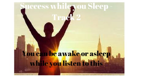 Success While you Sleep - Track 2. Dual voice 24.14
